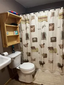 Family Fun 3 Bedroom Cabin - Image 3