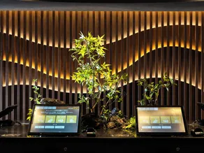 SUPER HOTEL Kirishima Natural Hot Spring - Image 2