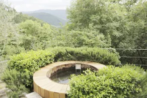 [CASTELLO DI CASALTA FLORENCE⭐⭐⭐⭐⭐] Vineyards | Pool - Image 2