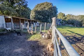 Casa de férias 'Ferme I Frassedi' com jardim privado e Wi-Fi - Image 2