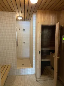Chalet-lejlighed i Flims Laax med balkon, swimmingpool, sauna, jacuzzi, trådløs og TG - Image 3