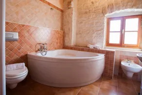 Authentic Istrian Luxury Stone Villa with Private Pool and Charming Green Garden - Image 3