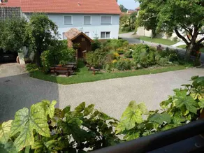 Appartamento familiare in ex fattoria con pecore, capre, anatre, galline, conigli e gatti - Image 5