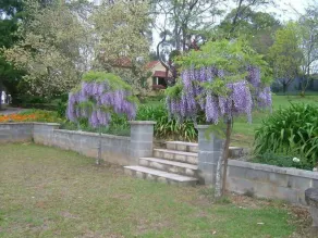 Hermitage Cottage Kurrajong - Image 5