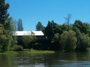 Smukke, rolige, landlige omgivelser på Willamette River - Image 3