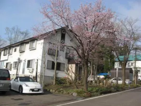 Pension Do - Image 5