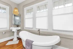 Historic, Recently Renovated Home Near Savannah River & Downtown Augusta! - Image 3