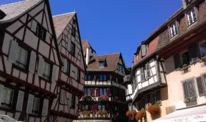 Gîte, calme, lisière d'un verger à 12km de Colmar. - Image 5