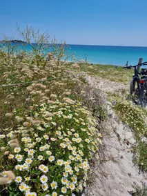 Petite Maison de Pêcheur à 10 m de la Plage, Avec Jardin Clos - Image 5