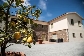 Villa A Casa di Giovanni 12p - Image 5