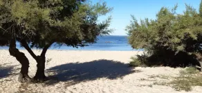 Grün, Bassin d'Arcachon, nahe Strand, Hafen, Geschäfte, 6 Pers. - Image 3