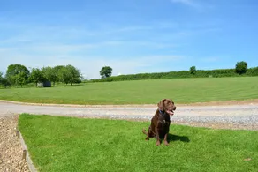 Traditional cottage with spacious enclosed garden close to Bridport & beaches - Image 3
