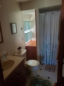 Beautiful Northern Michigan Cabin - Image 3