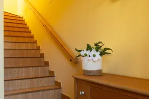 House with terrace in the Pyrenees. Pet friendly - Image 2