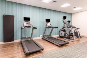 Holiday Inn Express and Suites Ottawa - Image 3