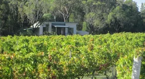 Clever Kid Wines Vineyard Cottages - Image 4