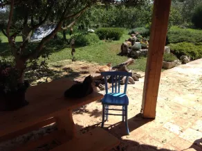 B & B The Owl. Trulli and Nature. Trullo The Lemon - Image 3
