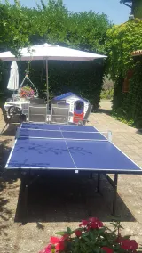 Typical Italian Country Apartment in Agriturism. Swimming Pool. Free WiFi - Image 5