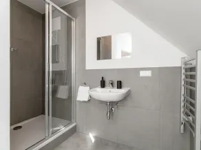 Combination of 3 nice apartments in ski region - Image 3