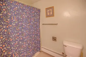 Ski and Golf Retreat w/Amenities - Image 4
