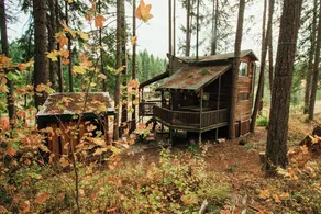 Romantic Wilderness Tree House - Image 4