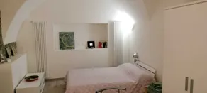 Camellia, förslag mellan sjö och berg - Image 5