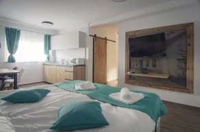 Olimje Apartment with Private Sauna & Free Outdoor Pool - Gobi - Image 5