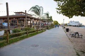 Sunnyside Up - Small Dog Friendly Waterfront Cottage - Image 4