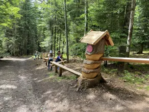 4 * -Appartamento nella Foresta Nera - Image 5