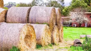 Hillview Farmstay - Image 4