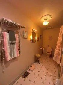 Victorian 1920s 5 bdrm w/ Pool, antiquer’s dream - Image 3