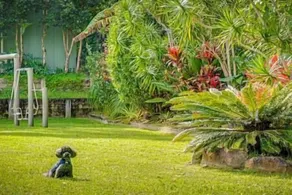 Byron Bay Hinterland Treasure - Image 2