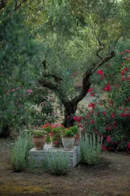 Self catered Daphnes cottage #4 with large veranda and garden near the beach. - Image 5