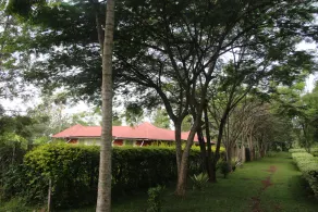 CASTILLO PALATIAL - Image 2