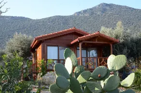 Doganin Ruhu Hotel & Bungalow - Image 5