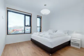 Blue Viking Apartments Reykjavik - Image 3