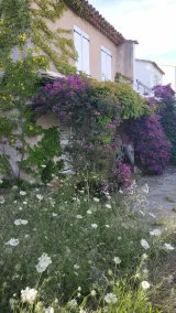 Maison provençale pleine de charme à 5' de la plage et son restaurant - Image 4