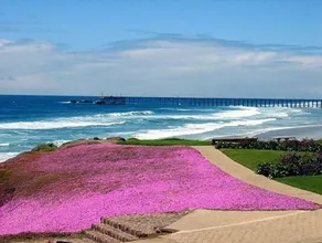 Luxury Ocean view beach villa for 6 guests - Image 5