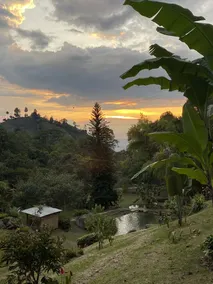Drapa Resort - Image 3