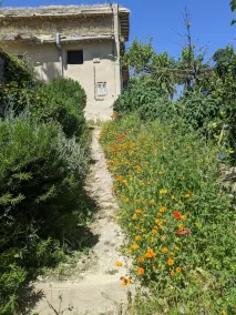 For a better understanding of ecological agriculture. - Image 4