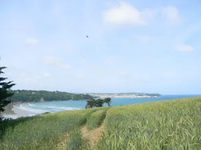 country holiday home - Douarnenez - Image 3