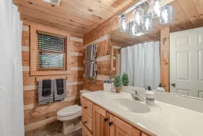 Bear Pause Cabin 3 BR/3BA Amazing view of the Lake - Image 3