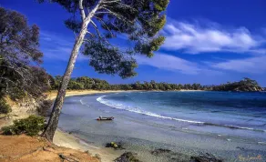 Discovery Island of Porquerolles - 200 m strande KLASSIFICERET 4 * Have niveau - Image 5