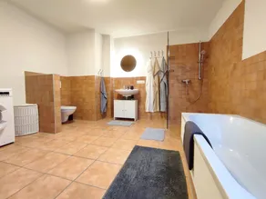 House Mediterran at Lake Constance - Image 3