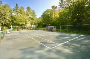 Perfekter Familienrückzugsort in den White Mountains, Pool & Tennisplatz, Hunde erlaubt! - Image 2