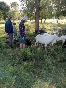 Gracemere Farmstead Guest Wing - Image 3