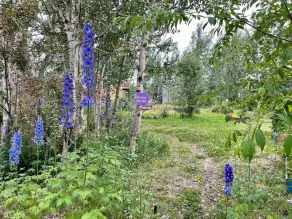 Tiny House on Urban Farm-Glamping - Image 5