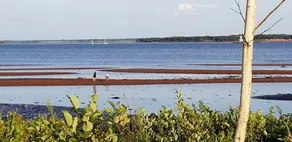 Downtown Summerside Jewel - Image 5