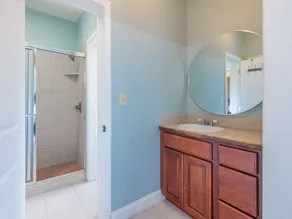 Spacious Luxury Home with Swim Spa, Hot Tub, Movie Room and Fire Pit - Image 4