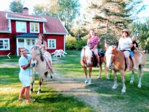 In the footsteps of Astrid Lindgren - vacation home with 110 sqm - Image 3